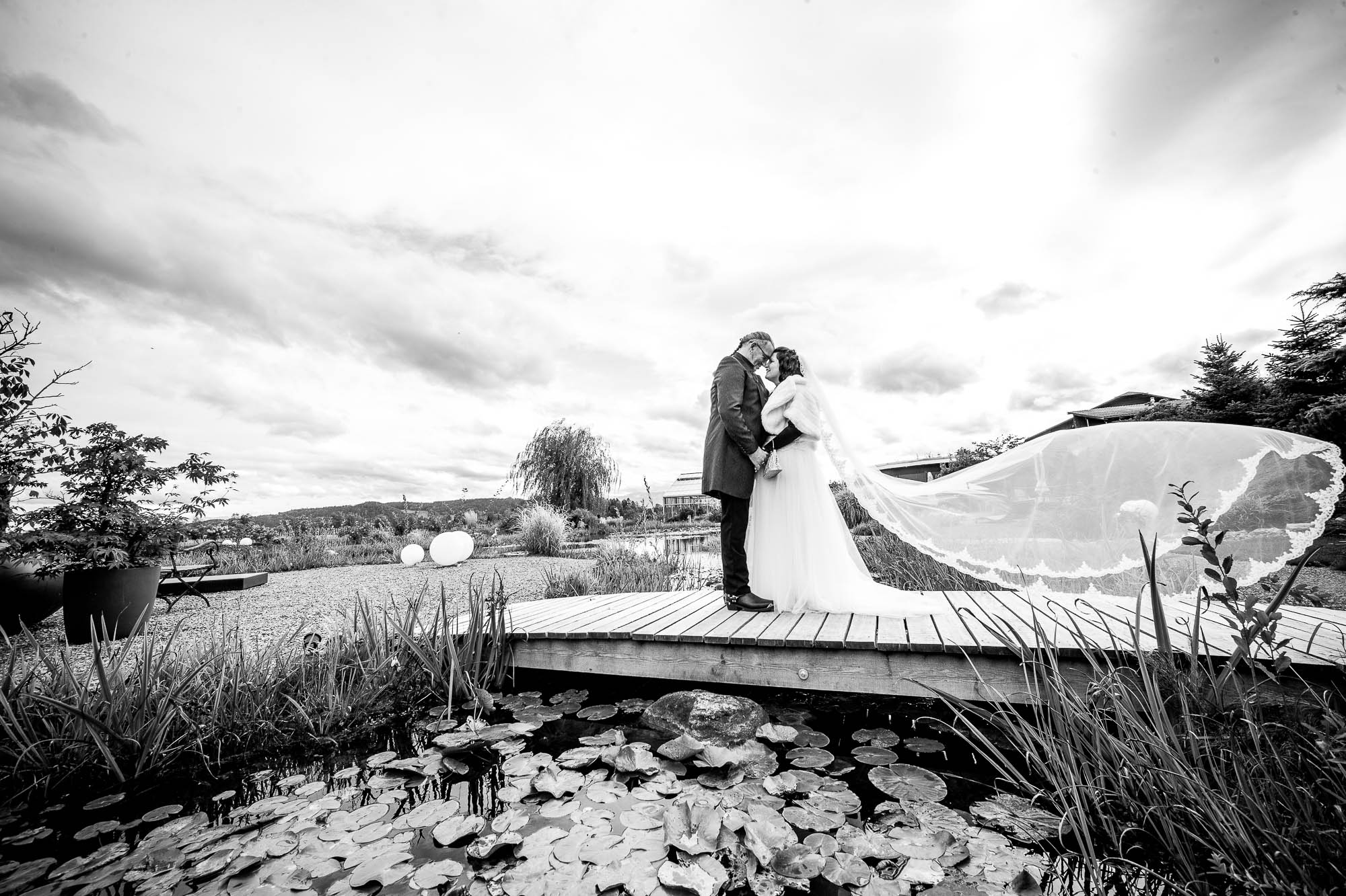 Export x3 1DX28552 Hochzeit 2020 Claudia & Thomas 2